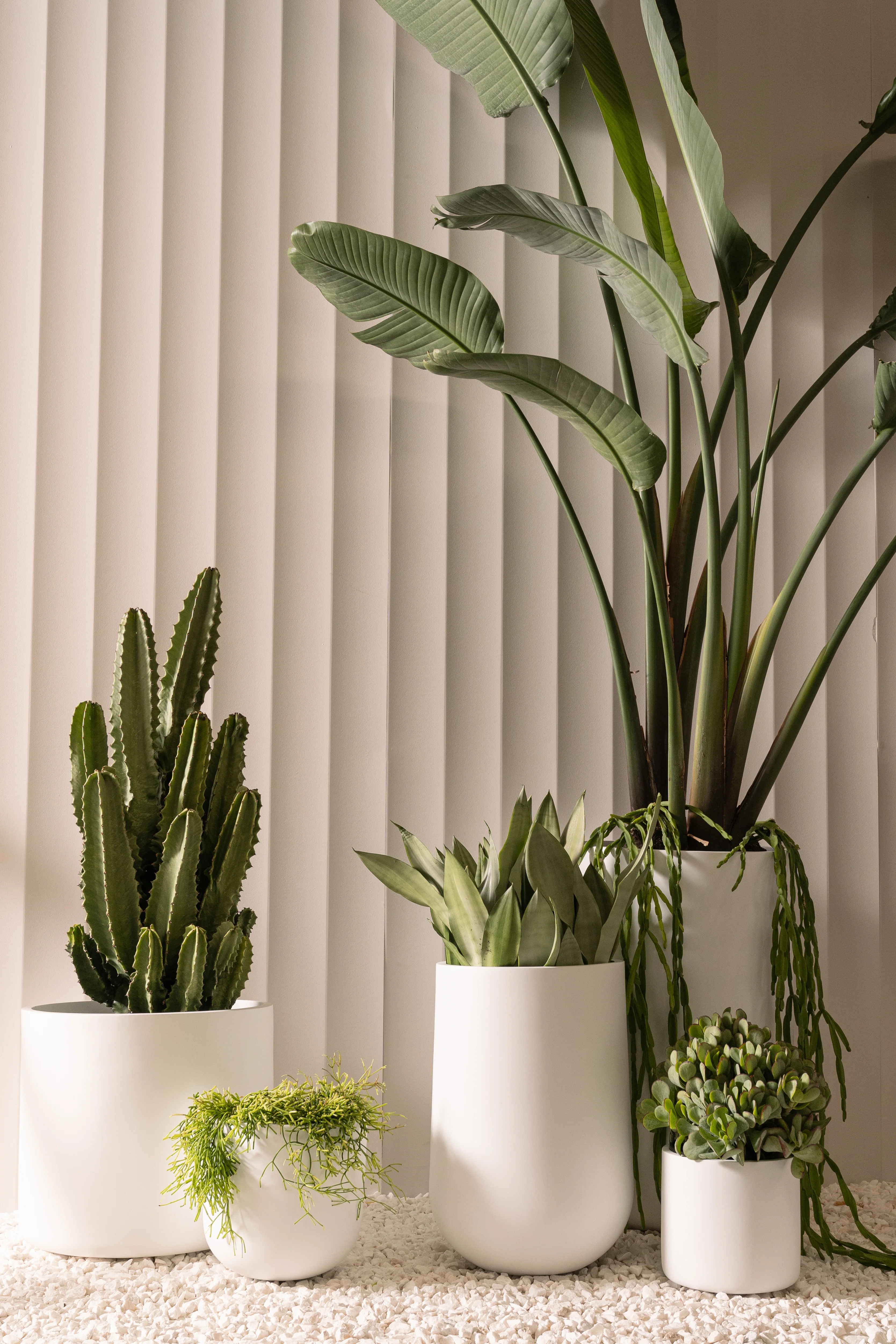 Waratah Pot - Image 20